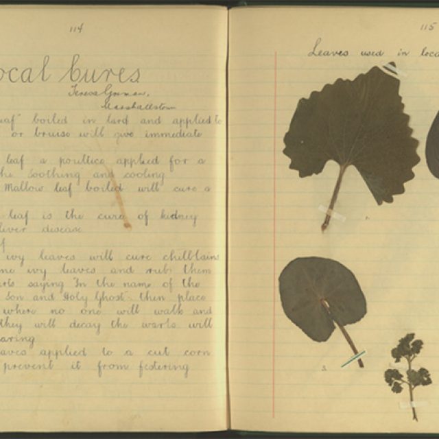The Schools’ Collection – Carrick-on-Suir, Part 1