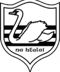 Carrick Swan GAA Club